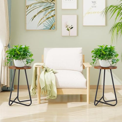 Plant Stand Indoor,Small Plant Table,Metal Display Rack,Brown,20 In - color: Brown, size: 20 In