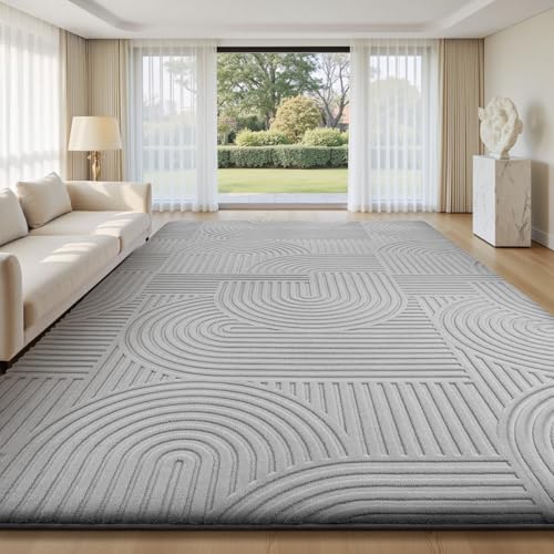 Sour Lemon Area Rugs 9x12 Living Room Bedroom, Grey Rug Large Carpet - color: Light Grey, size: 9' x 12' (Rectangular)