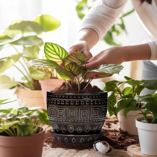 G EPGardening Ceramic Plant Pot, 5.5 Inch Ceramic Planter, Black - color: Palindrome Black