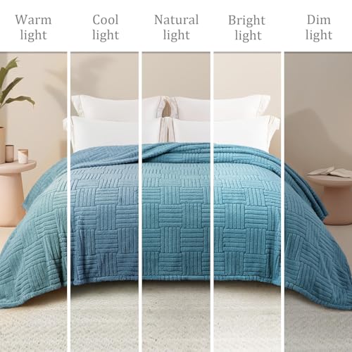 Whale Flotilla Lightweight Fleece Queen Size Blanket for Bed, Slate Blue - color: Slate Blue, size: Queen(90x90 Inch)