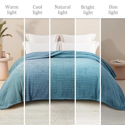 Whale Flotilla Lightweight Fleece Queen Size Blanket for Bed, Slate Blue - color: Slate Blue, size: Queen(90x90 Inch)