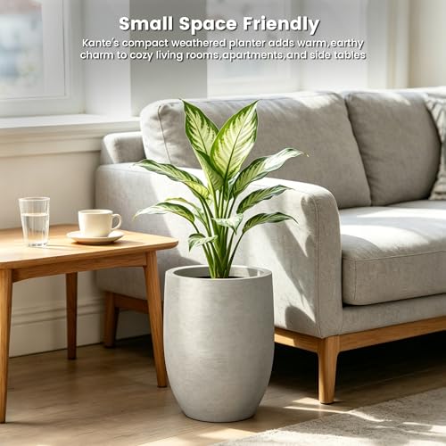 Kante Small Round Curved Weathered Concrete Planter 9.1" Dia, Outdoor - color: Weathered Concrete, size: 11.8 Inch Tall
