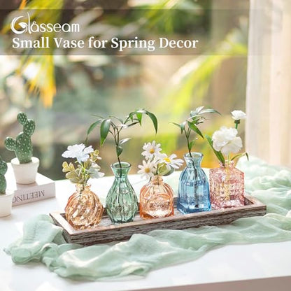 Glasseam Glass Bud Vases for Flower: 5 Pcs Small Vases with Wooden Tray - color: Colorful-embossed
