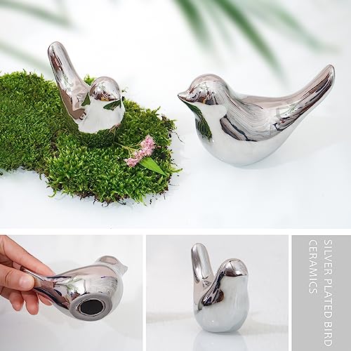 Notakia Silver Bird Figurines Set of 2 Small Bird Statues Home Decor - color: 2pcs Silver Birds