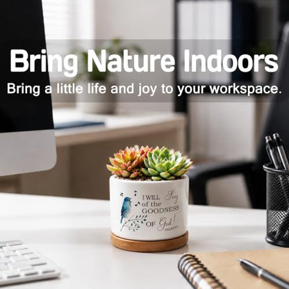 Christian Bird Plant Pots, Psalms 89:1 Bible Verse Religious Ceramic Succulent Flower Planters(No Plants) - color: Psalms B