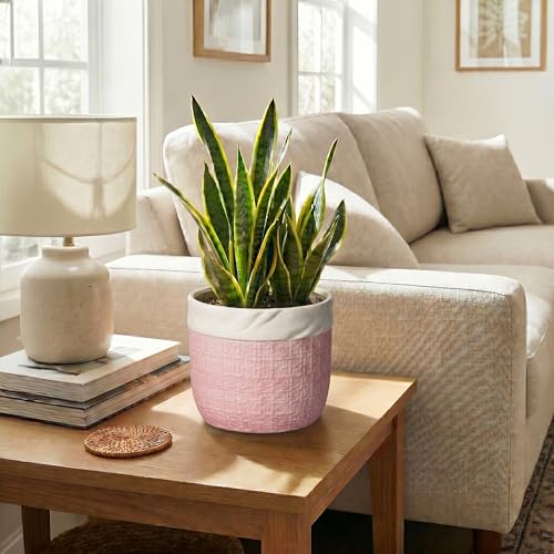 Ceramic Plant Pots, 8 Inch Planter, Round Pots for Plants, Pink - color: Pink, size: 8 Inch