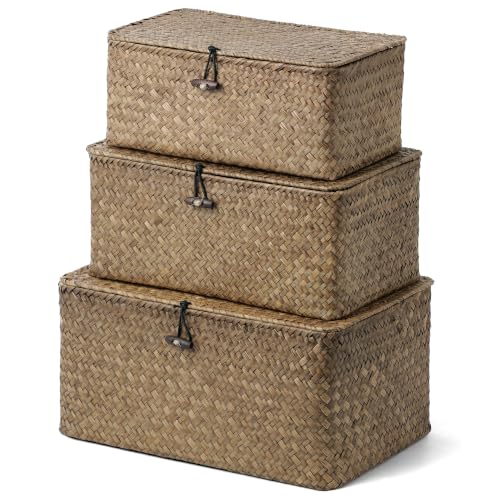Nonam Wicker Storage Basket with Lid,Seagrass Shelf Basket Set of 3,Coffee - color: Coffee* Set of 3