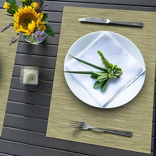 Winknowl Placemats Set of 8, Washable Vinyl Woven Place Mats Indoor and Outdoor Heat Stain and Water Resistant Elegant Plastic Table Mats for Kitchen Dining Table (Green) - color: Bamboo Green, size: Set of 8