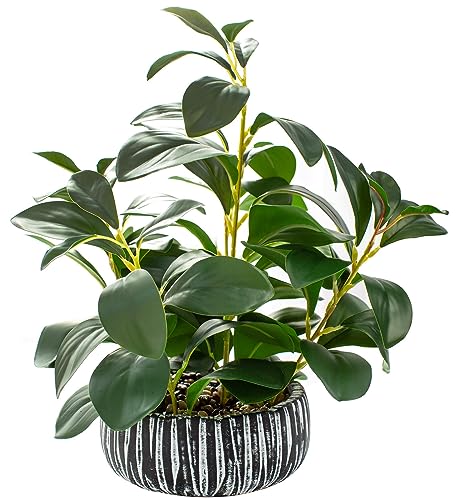 AlphaAcc Fake Plants Potted Artificial Succulents Home Office Decor - color: Green Succulent 12.8" H