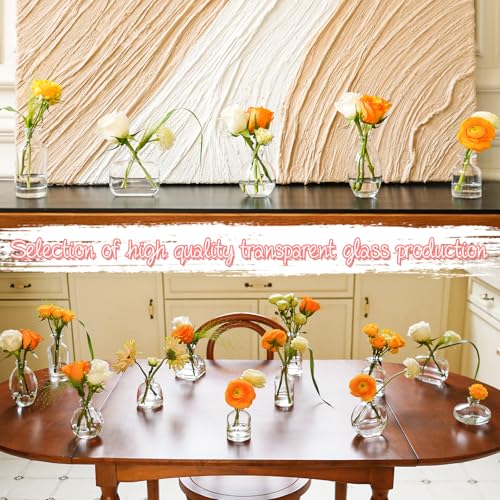 Bud Vases Set of 12, Clear Glass Bud Vase in Bulk, Small Vases - color: Clear Set of 12