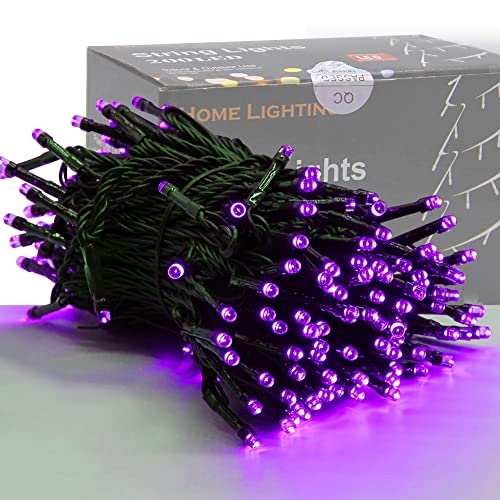 HOME LIGHTING 66ft Halloween Decorative Mini Lights, 200 LED Green Wire Fairy Starry String Lights Plug in, 8 Lighting Modes, for Indoor Outdoor Xmas Tree Wedding Party Decoration (Purple) - color: Purple