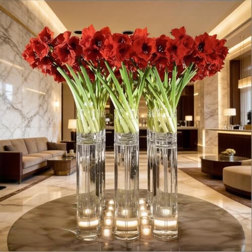 CYS EXCEL Cylinder Clear (H:32" D:6") | Multiple Size Choices Glass Flower Centerpieces | Hurricane Floating Candle Holder Vase, H-32 (GCY122/32) - size: H-32" D-6"