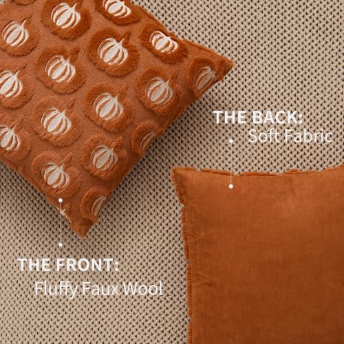 DFXSZ Fall Pillow Covers 18x18 Set of 2 Beige Pumpkins Embroidery Rust - color: Rust Beige Pumpkin, size: 18" x 18" (Pack of 2)