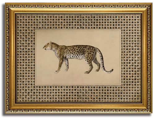 HNNXAR Vintage Gold Framed Leopard Wall Art Cheetah Wall Canvas Art Decor Safari Animal Pictures Paintings Prints Artwork for Bedroom Living Room - color: Cheetah, size: 16"L x 12"W