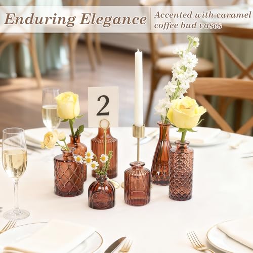 TBWIND 12-Piece Glass Bud Vase Set – Small Caramel Coffee Brown - color: Brown-12pcs, size: 12Pcs