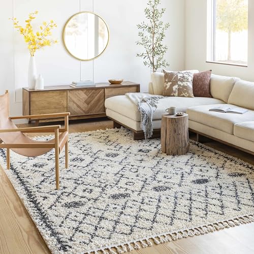 Hauteloom Masada Area Rug - color: Charcoal, Beige / Godalming, size: 5'3" x 7'3" (Rectangular)