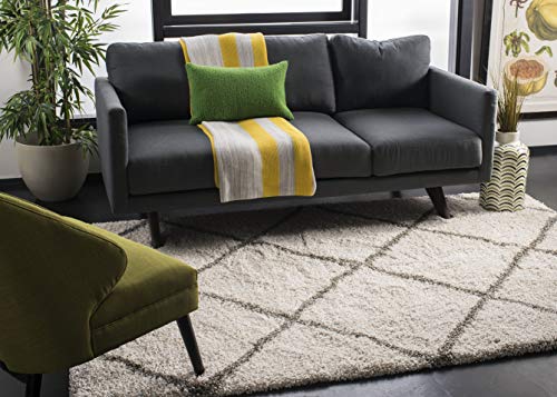 SAFAVIEH Hudson Shag Accent Rug 2'x3', Soft Plush Ivory & Grey SGH281A - color: Ivory/Grey, size: 2' x 3' (Rectangular)