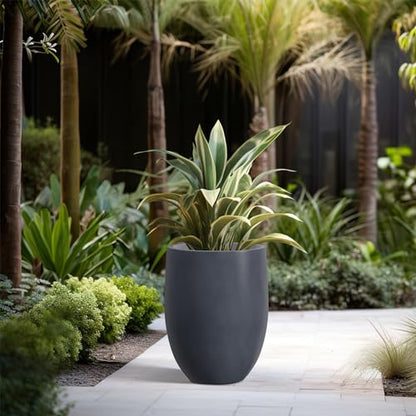 Kante Large Round Bullet Charcoal Concrete Planter 21.7" Tall, Outdoor - color: Dark Gray