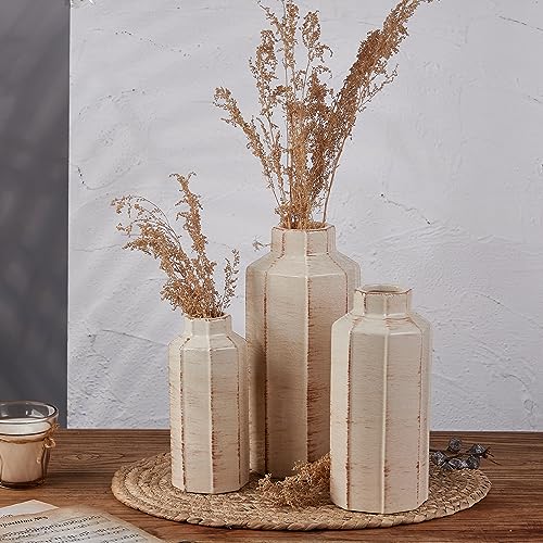 Ceramic Rustic Farmhouse Vase Set of 3,Ice Cracked Glazed Terracotta Vase - color: 18096lms-ec-beige