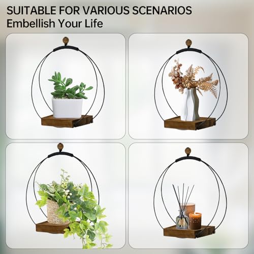 Adnkwolivt Hanging Planters for Indoor Plants - Plant Hanger Outdoor Pack of 2, Metal Plant Hanger Mid Century, Hanging Wall Ceiling Window, Gift for Mom, Plant Lovers, Housewarming - size: 2 Pack
