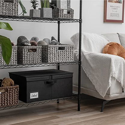 GRANNY SAYS Extra Large Storage Bins with Lids, Closet Bins, Black - color: Black, size: Extra Large - 1 Pack