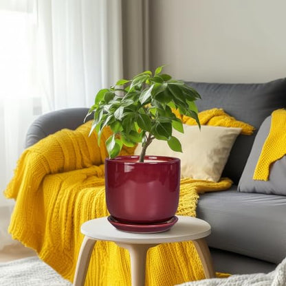 Ceramic Flower Pot for Plants, 8 Inch Plant Pot, Red - color: Red, size: 8 Inch