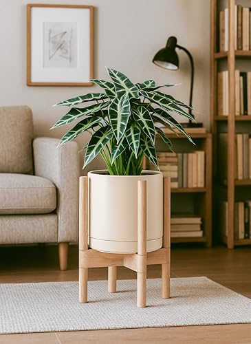 D'vine Dev Ceramic Pot with Natural Wood Stand, Oatmeal, 8 in, 55-B-N-8 - color: Oatmeal Pot + Natural Stand, size: 8 Inch