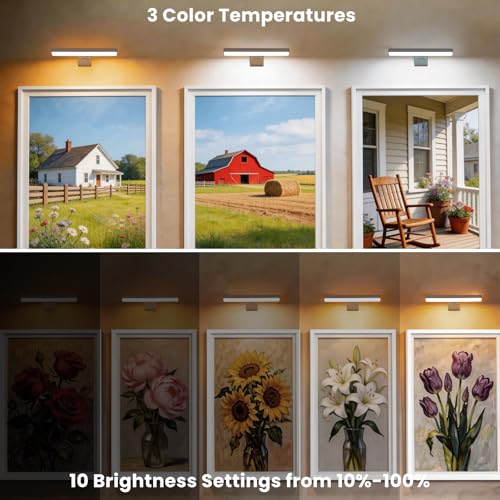 Picture Lights for Wall Battery Operated, White 2 Pack 3CCT Dimmable Light - color: White-3CCT