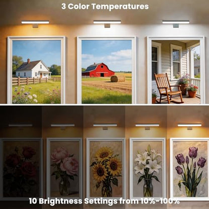 Picture Lights for Wall Battery Operated, White 2 Pack 3CCT Dimmable Light - color: White-3CCT