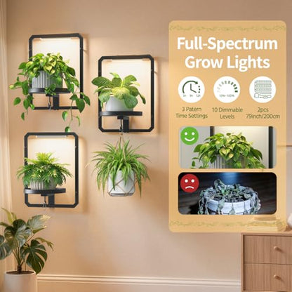 LASZOLA Plant Picture Frame Holder Shelf Wall with Lights, 3 Pcs Black - color: Glossy Black with Lights, size: 3
