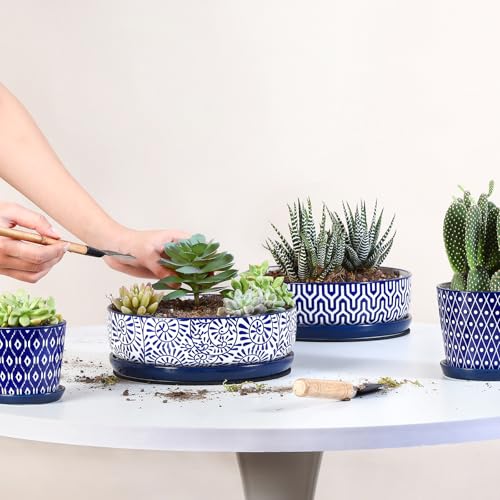 Selamica Ceramic Succulent Pots, Shallow Succulent Planters with Drainage Hole & Saucer, Indoor Plant Pots for Cactus, Home Decor，Vintage Blue, 8 inch，Set of 2 - color: Vintage Blue, size: 8 inch
