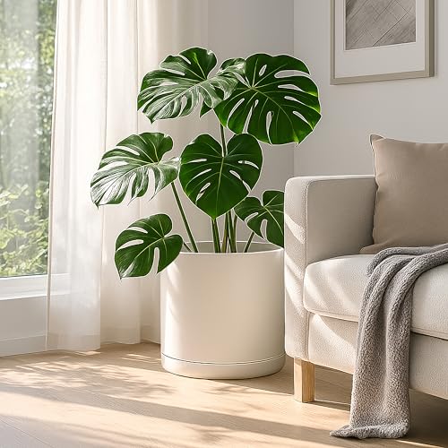 D'vine Dev Plastic Planter Pot with Saucer, 16 in, Oatmeal, 74-X-H-5 - color: Oatmeal, size: 16 Inch