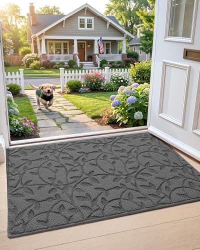 DEXI Front Door Mat Inside Entrance 24x36 Non Slip Entry Doormat Leaf Grey - color: Leaf Grey, size: 24" X 36" (Rectangular)