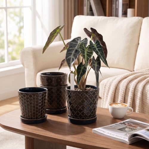 EFISPSS Ceramic Plant Pots, 5 Inch Planters with Drainage Holes and Ceramic Tray, Relief Design Flower Planter, Desktop Office Windowsill Decoration Gift Set of 4 - Black - color: Black