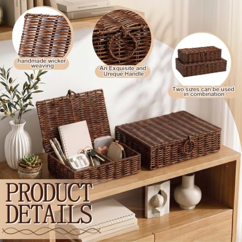 Hushee Set of 2 Wicker Storage Baskets with Lid Woven Wicker Storage Bins Woven Rattan Decorative Boxes with Lid for Shelf Organizer Coffee Table Bathroom Living Room Decor