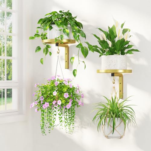 LASZOLA Plant Hanger Holder Window Shelf Wall Mounted Indoor, 2 Pcs Gold - color: Gold, size: 2