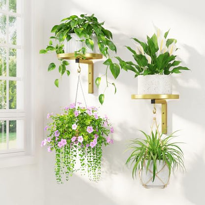 LASZOLA Plant Hanger Holder Window Shelf Wall Mounted Indoor, 2 Pcs Gold - color: Gold, size: 2