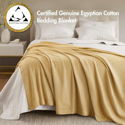 Madison Park 100% Egyptian Cotton Twin Size Bed Blanket for Summer Mustard - color: Mustard, size: Twin