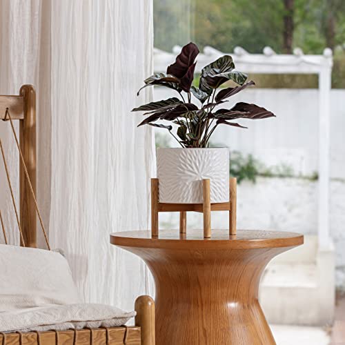 LA JOLIE MUSE Ceramic Planter for Plant, 8 Inch Indoor Planter with Stand - color: White