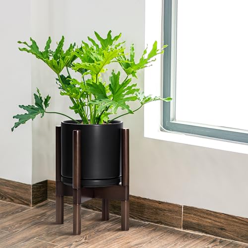 D'vine Dev Ceramic Pot with Walnut Wood Stand, Black, 8 in, 55-B-Y-2 - color: Black Pot + Walnut Color Stand, size: 8 Inch