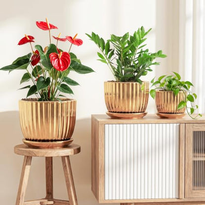 Plant Pots,Ceramic Flower Pots with Drainage Holes & Saucers Set of 3（Gold） - color: Gold