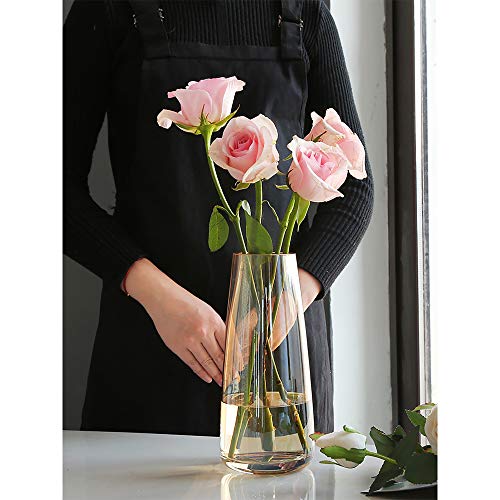 FANTESTICRYAN Modern Glass Vase, 8.7''H Decor Flower Vases, Crystal Amber - color: Crystal Amber