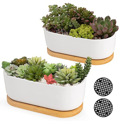 White Ceramic Succulent Plant Pots, Indoor and Outdoor Succulent Planters, Set of 2 Small Cactus Containers, Bonsai Pots, Flower Pots with Drainage Hole and Bamboo Bowl (No Plant) - color: Oval-shaped