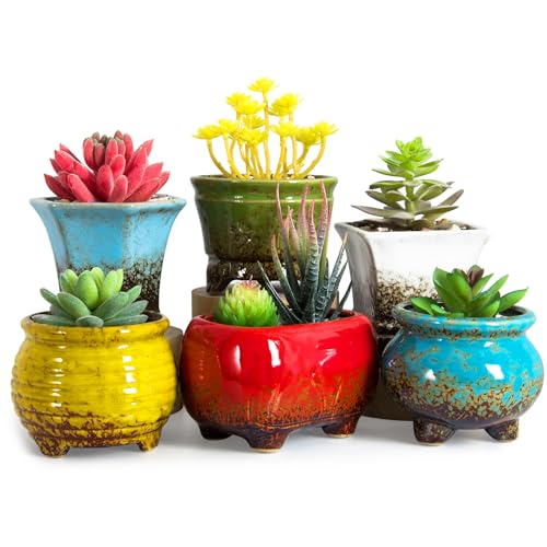 ARTKETTY Succulent Pots, Small Succulent Plant Pots with Drainage Set of 6 - color: Colorful - 3.5 Inch