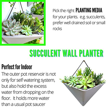 LaLaGreen Succulent Wall Planters (12in, 2 Pack) Large Self Watering Pots - color: Gray X 2 Pack