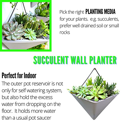 LaLaGreen Wall Planters for Indoor Plant (12in, 4 Pack) Hanging Flower Vase - color: Gray X 4 Pack