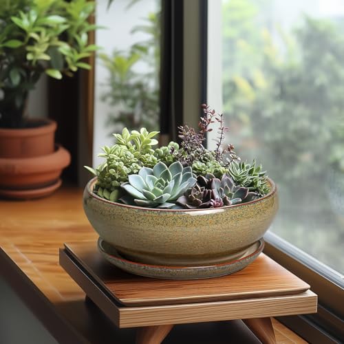 SQOWL Succulent Pots, 8 Inch Ceramic Bonsai Pots with Drainage Tray, Brown - color: Speckled-brown, size: 8 Inch