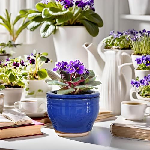 African Violet Pots Self Watering Blue 6 inch - color: Blue