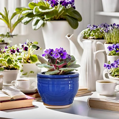 African Violet Pots Self Watering Blue 6 inch - color: Blue