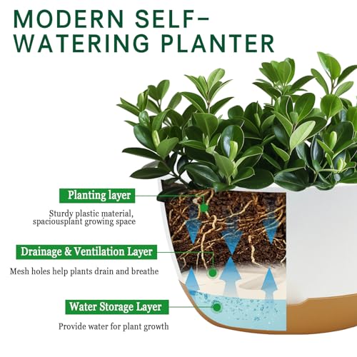 Koalaime 8/10/12 Inch Pots for Indoor Plants, Large Self Watering Planters with Drainage and Saucers, Plastic Outdoor Flower Pot, Set of 3, White - color: White